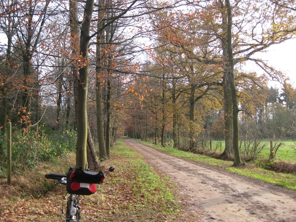 20091120 zandweg2 spleet boom