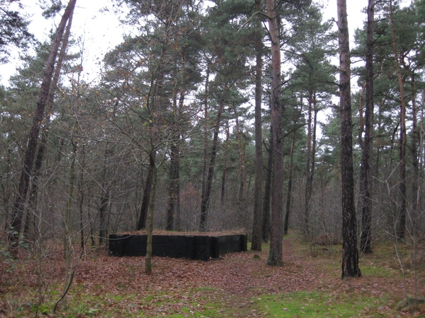 20091210 07 springplatform eindcache