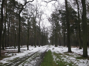 20091227 op zoek naar een cache 1 (800x600)