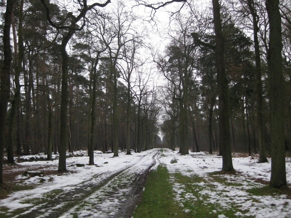 20091227 op zoek naar een cache 1 (800x600)