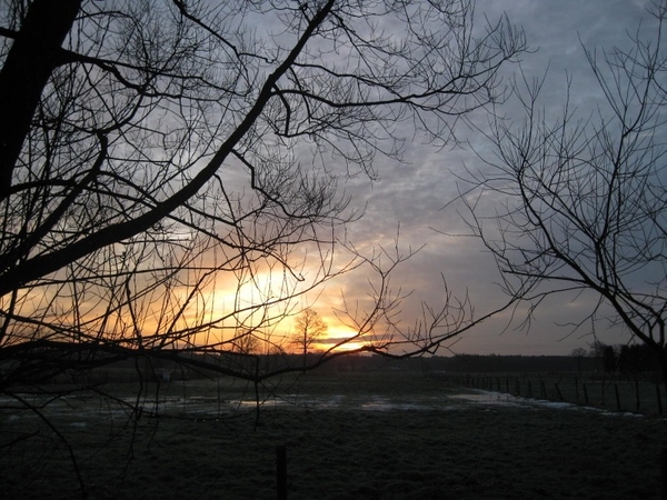 20091229 Ochtendstond aan de cache (800x600)