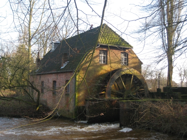 20100120 Hoolstmolen 2