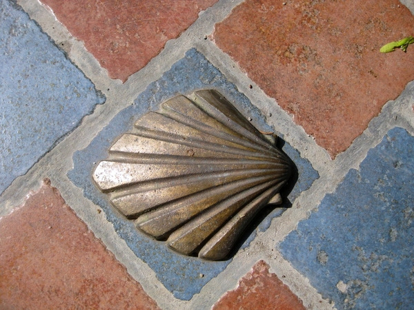 20100522 1 Jacobusschelp Kalmthout