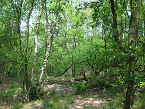 20100528 cacheplaats in Achel