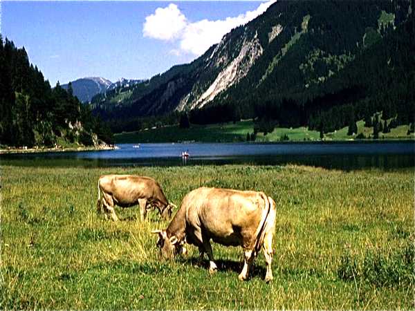 Zillertal