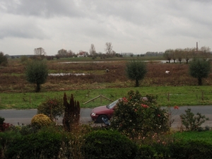 Uitzicht over de uiterwaard