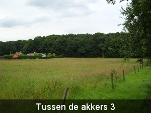 Tussen de akkers 3