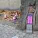 BILD0006