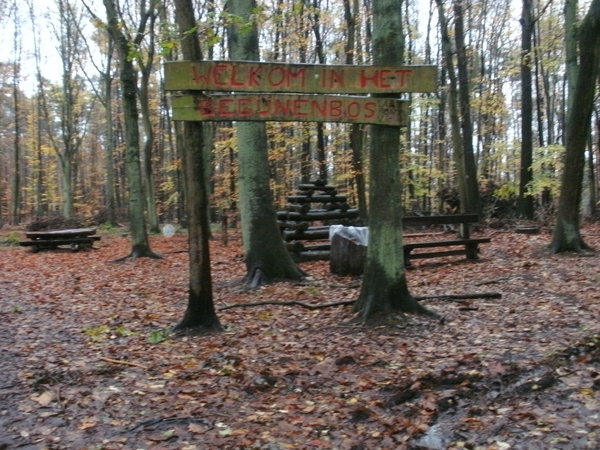 kessel-lo Begijnenbos..