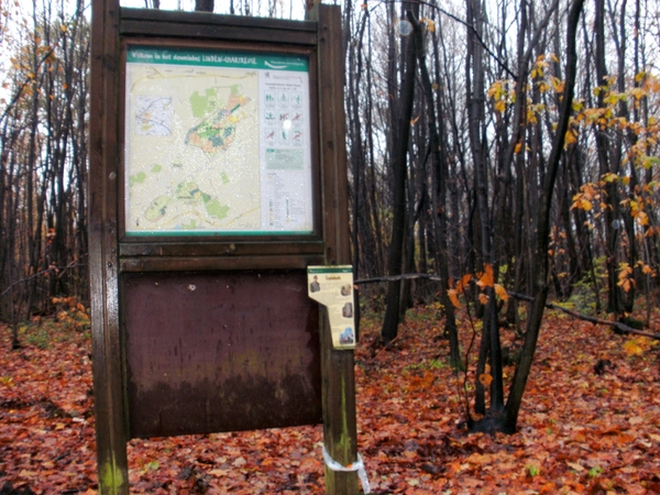 domeinbos Linden- Chartreuse