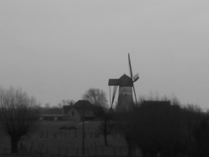 <windmolen denderwindike fotos van londersele marcel