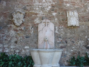 DSC05935