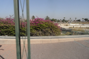 20101127_42