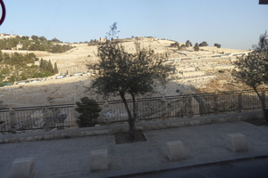 20101127_54