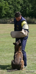 IMG_0017-1