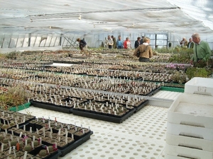 Eden Plants in Heinsberg 1