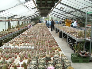 Piltz in Duren 10