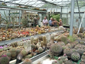 Piltz in Duren 20