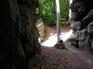Afbeelding 095