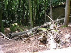 Afbeelding 097