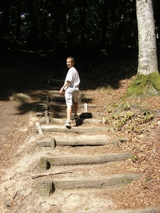 Afbeelding 098
