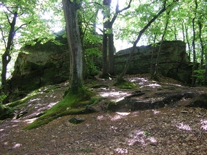 Afbeelding 099