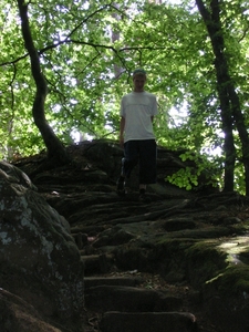 Afbeelding 107