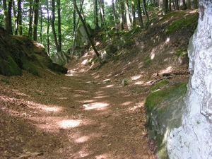 Afbeelding 110
