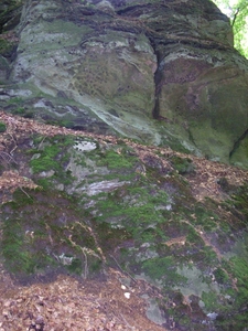 Afbeelding 112