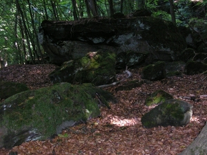 Afbeelding 117