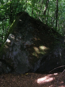 Afbeelding 118