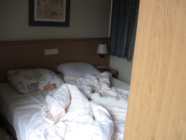 Zoekplaatje waar is het hondje