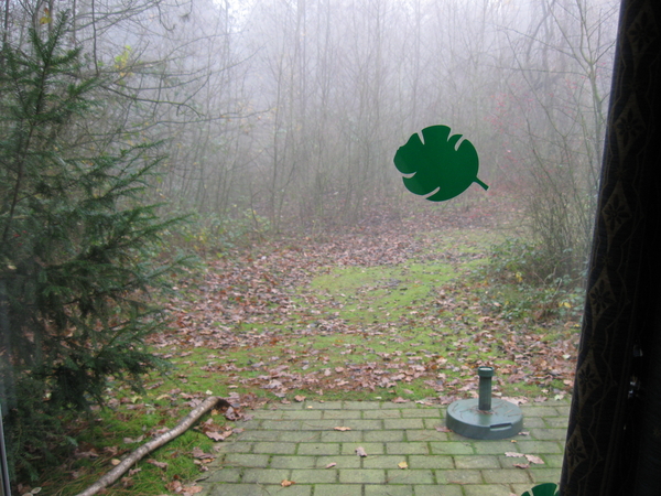 Uitzicht uit het grote raam