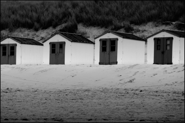 Texel IMG_0623b