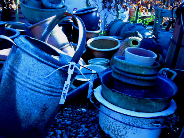 gewone plaatjes (134)