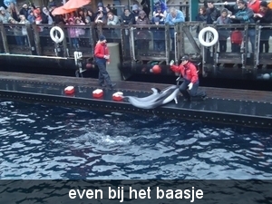 even bij het baasje