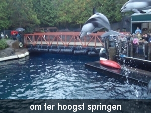 om ter hoogst springen