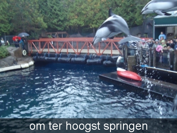 om ter hoogst springen