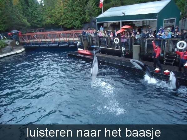 luisteren naar het baasje