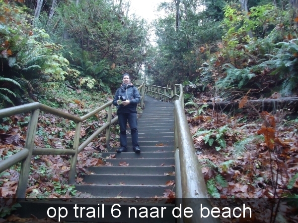 op trail 6 naar de beach