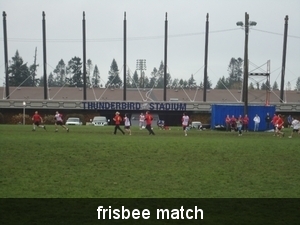 frisbee match