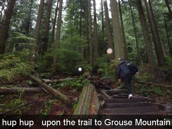 hup hup   upon the trail to Grouse Mountain