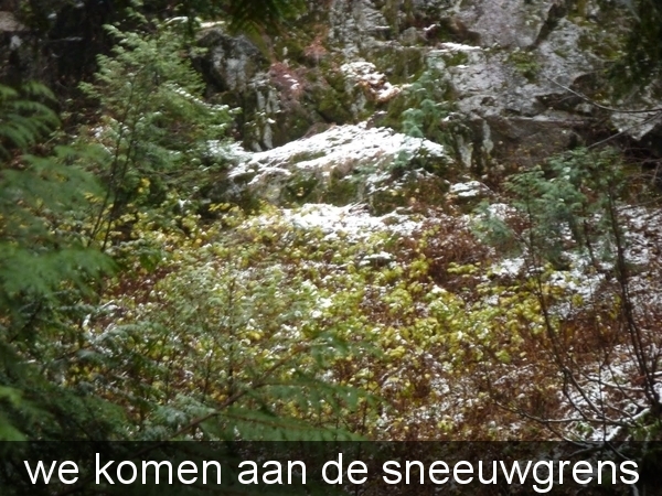 we komen aan de sneeuwgrens