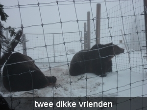 twee dikke vrienden