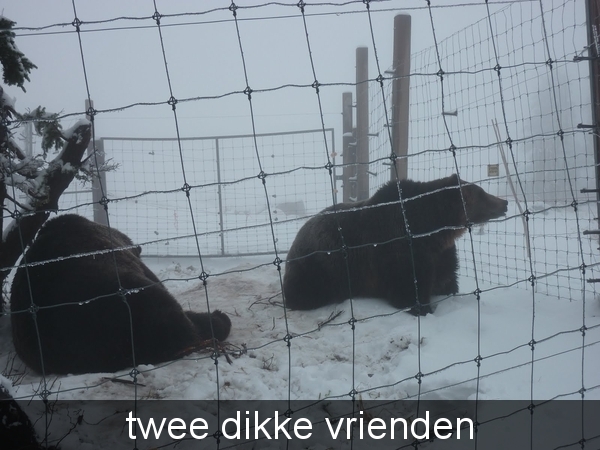 twee dikke vrienden