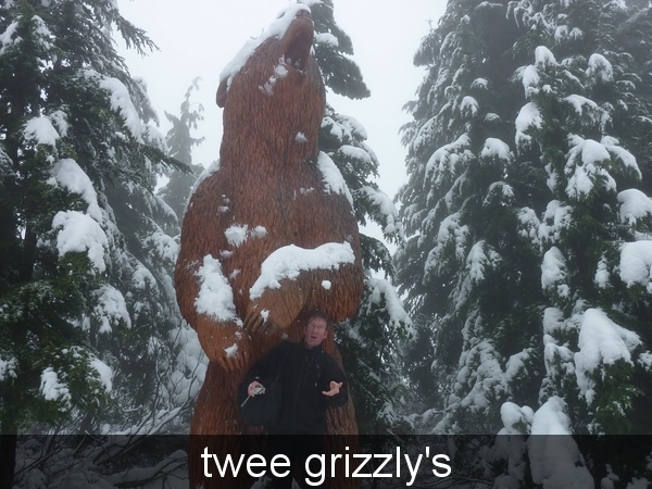 twee grizzly's