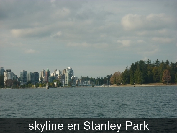 skyline en Stanley Park