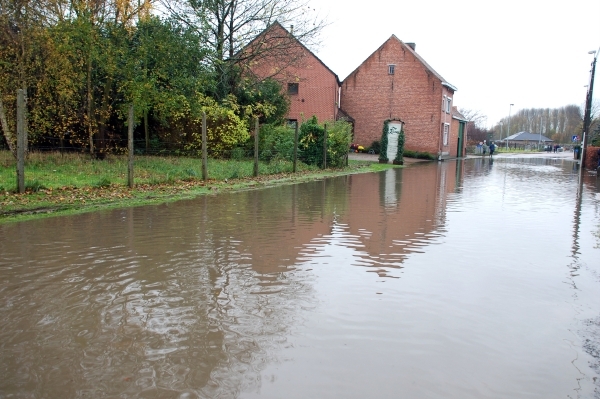 41  Pachthofstraat 13 - 14 nov 2010