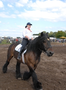 Peer-beestiggoed 024