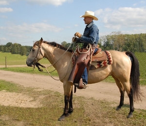 Peer-beestiggoed 069